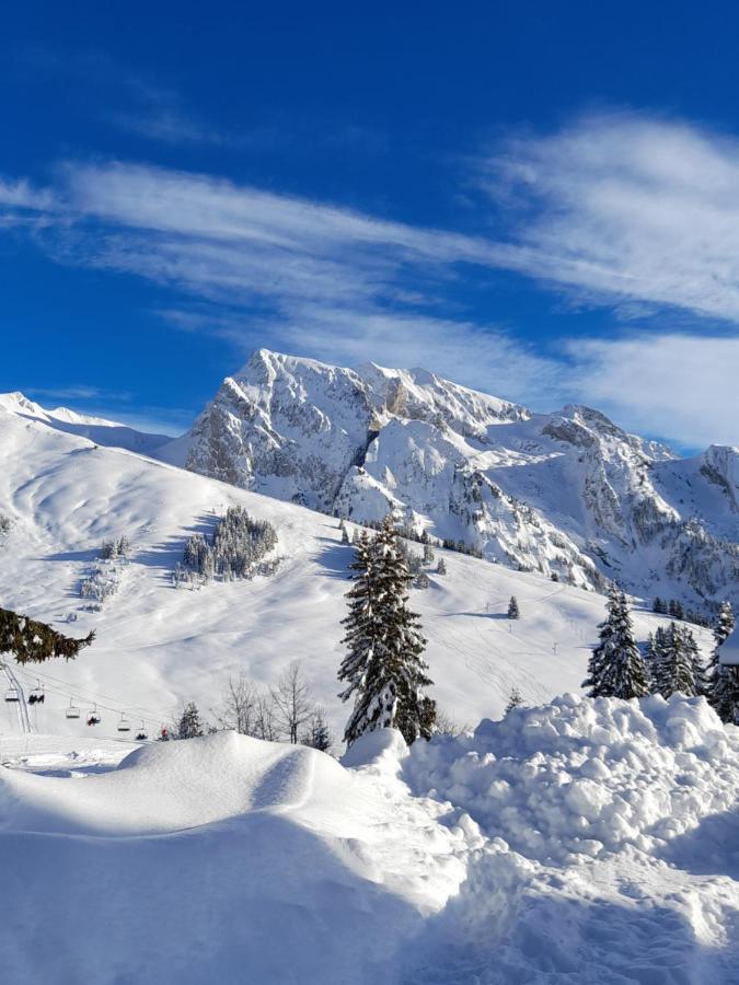 Appartement Au Coeur Des Aravis Manigod Exterior foto
